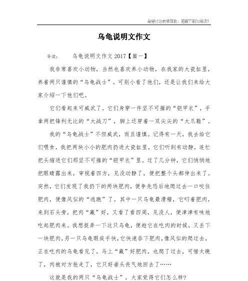 乌龟的故事（一个小乌龟的成长经历）