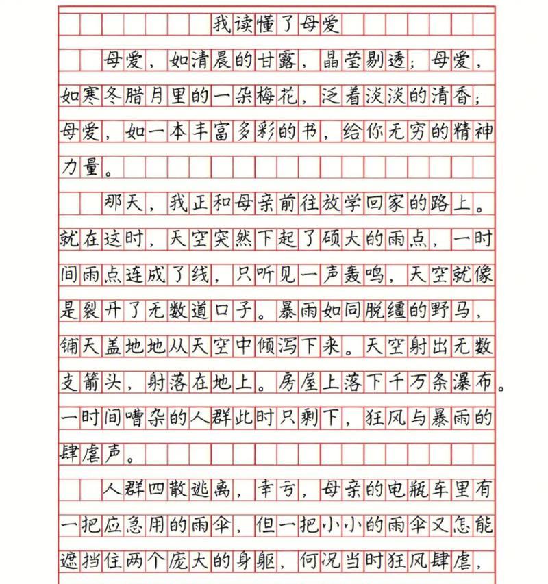 我的母亲：她教会我坚强