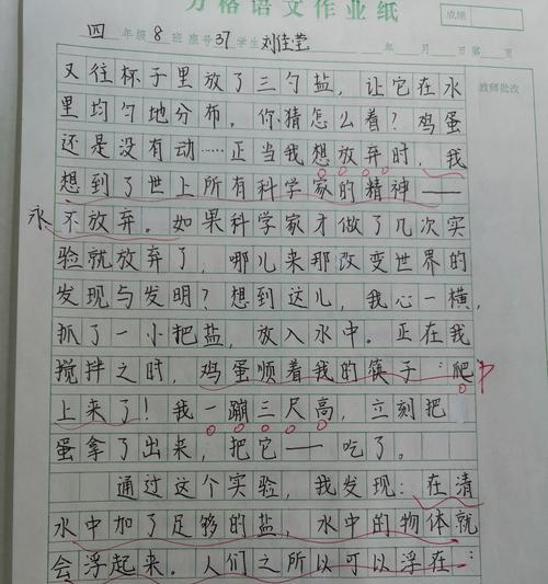 我发现了一个人：从街角一只流浪狗到家里的一只宠物
