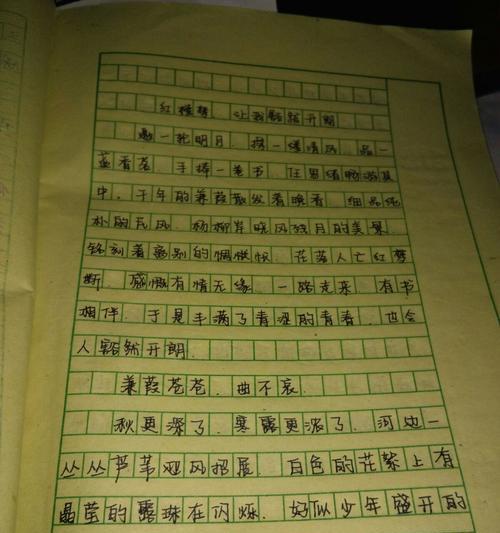 她的内心世界（一个沉默的小女孩的故事）