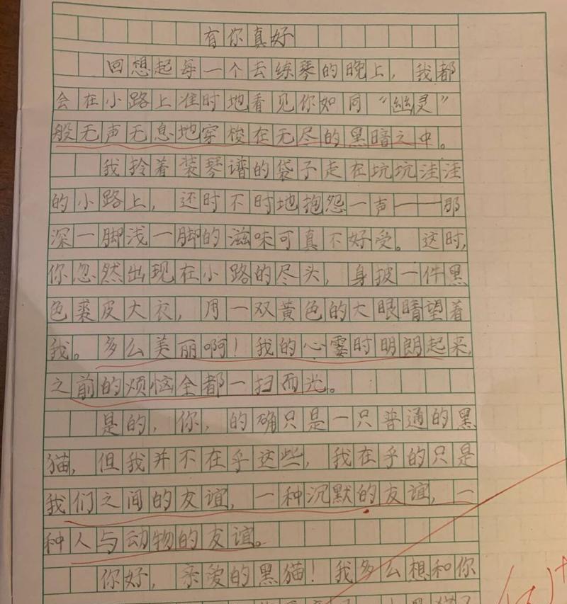 有你真好：一个关于感恩的小故事