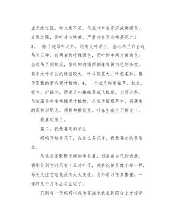 吊兰的故事（一个人和一盆植物的情感纠葛）