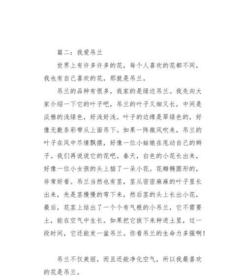 吊兰的故事（一个人和一盆植物的情感纠葛）
