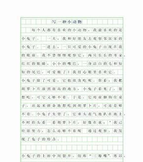 《小兔子的冒险之旅》（谁说兔子只会吃草）
