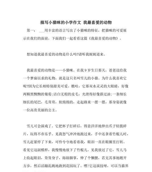 《小兔子的冒险之旅》（谁说兔子只会吃草）