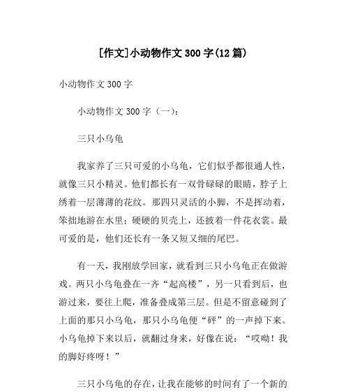 《小兔子的冒险之旅》（谁说兔子只会吃草）