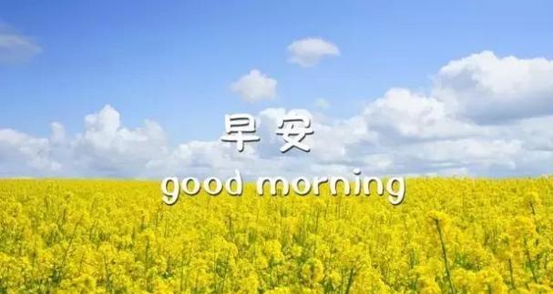 在新的一年里，坚定向前，迎接挑战（在新的一年里）
