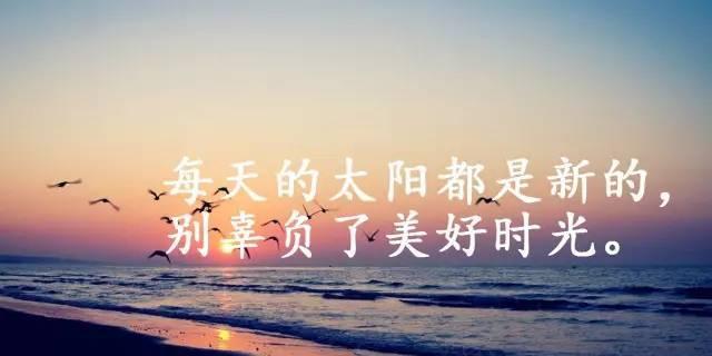 点燃生命的激情（人生励志感悟的句子摘录）