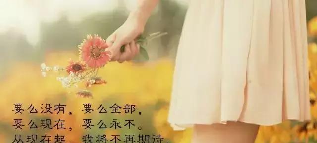 寒冬的朋友圈——寄托心情的乐章
