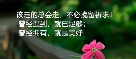 诉说内心的洒脱与追求（诉说内心的洒脱与追求）