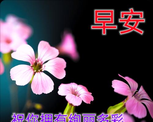 温暖的晨间，收到一条美好的祝福（分享25个唯美短句）