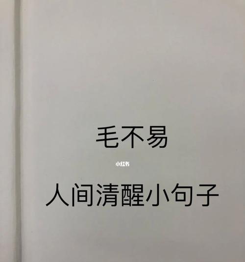 细致生活美好世界（细致生活美好世界）