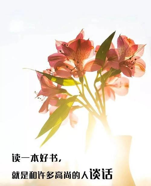 用唯美的句子，感受生命之美（用唯美的句子）
