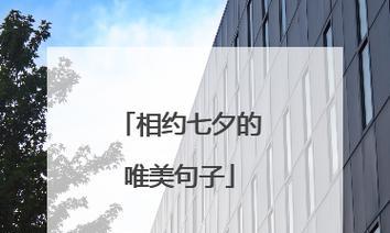 七夕浪漫之夜：一刻永恒的相遇