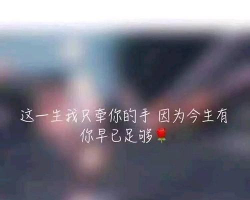 沉默中的内心花园（沉默中的内心花园）