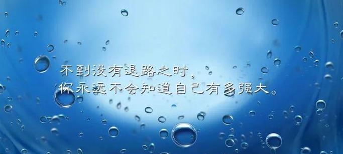 奋斗的唯美句子——探寻人生的意义（奋斗）