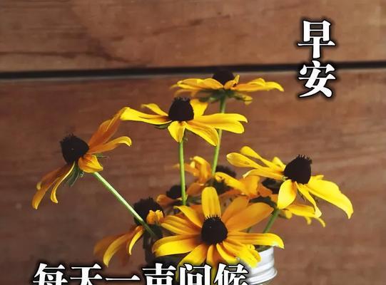 祝福之花：25句美好祝愿