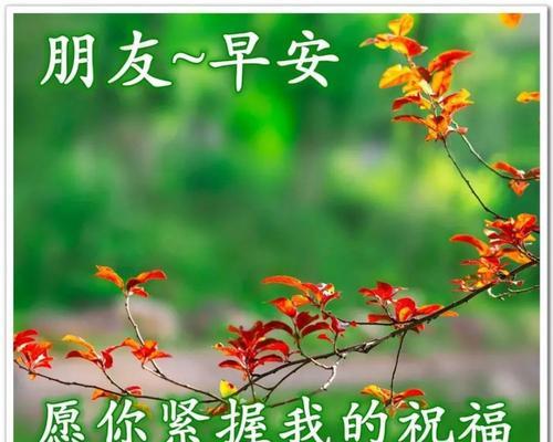 祝福之花：25句美好祝愿