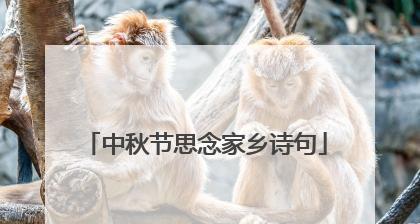 中秋之美（唯美短句）