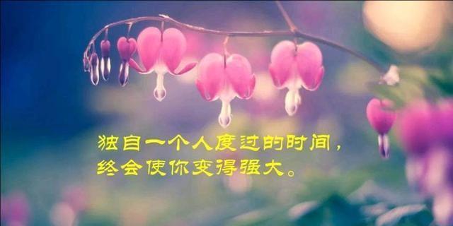 深夜的思绪，孤独的灵魂，唯美的文字（深夜的思绪）