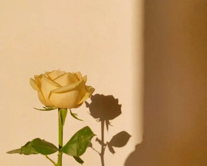 深夜的思绪，孤独的灵魂，唯美的文字（深夜的思绪）