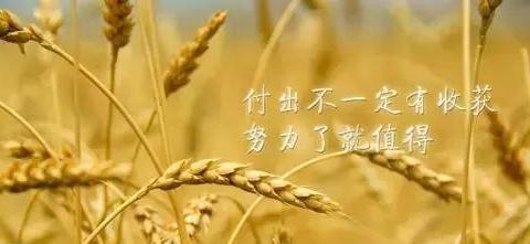 名言唯美短句（智慧与感动）