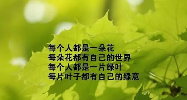 《努力绽放的唯美》