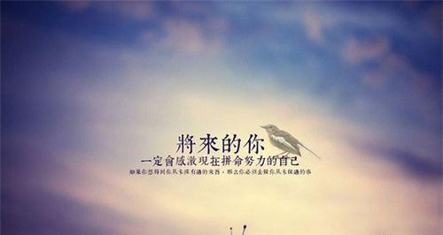《努力绽放的唯美》