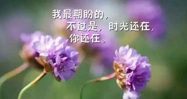 快乐的心情（唯美短句集）