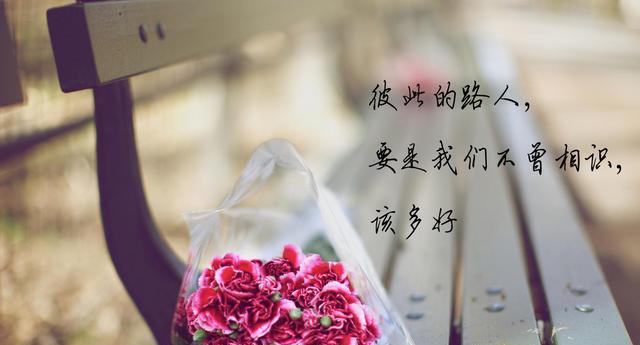 母校回忆：青春岁月的珍藏