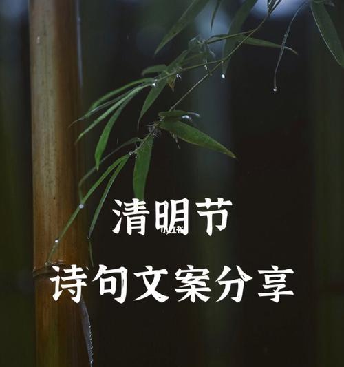 花开花落，往事如烟（花开花落）