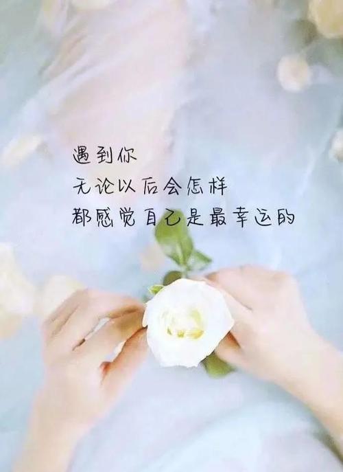 人生哲理：寻觅心灵的归宿