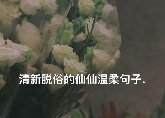 轻柔如诗——唯美短句（温暖你我的心灵）