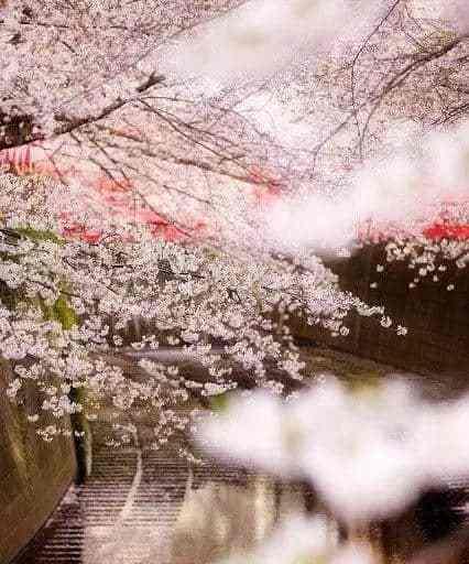 《才华横溢，唯美短句》