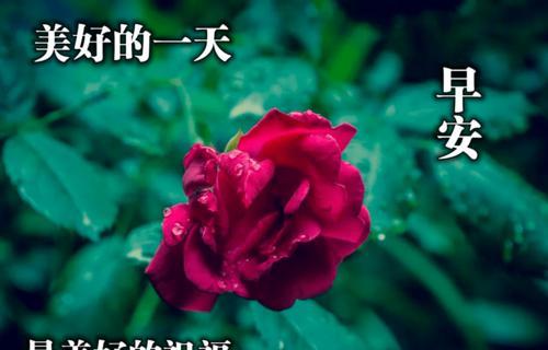 早晨的美好（温馨的句子点亮心灵）