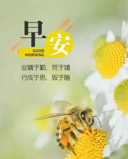 早晨的美好（温馨的句子点亮心灵）