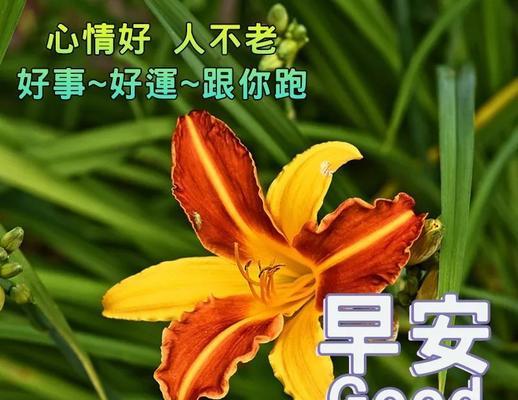 祝福唯美短句——让爱与美丽永存