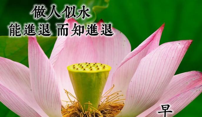 祝福唯美短句——让爱与美丽永存