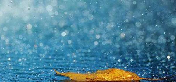 唯美短句，诉说雨中的浪漫（唯美短句）