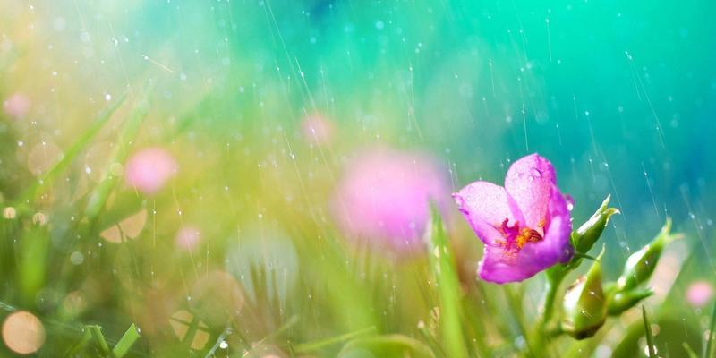 唯美短句，诉说雨中的浪漫（唯美短句）