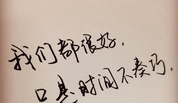 忙碌之中的美好（忙碌之中的美好）