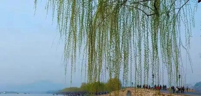 《湖光山色，唯美诗句盛宴》