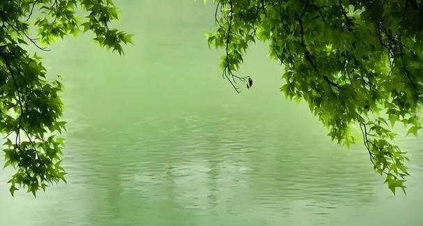 《湖光山色，唯美诗句盛宴》