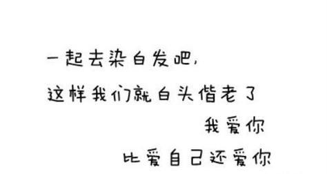 探寻猪的自然之美（探寻猪的自然之美）