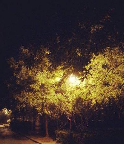 夜幕下的星空，静谧心灵的净化（夜幕下的星空）
