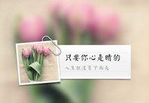 单身生活，也能拥有唯美（单身生活）