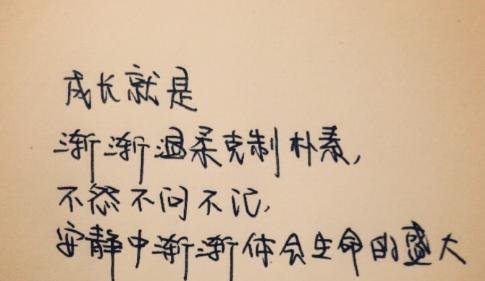 《老年之花》