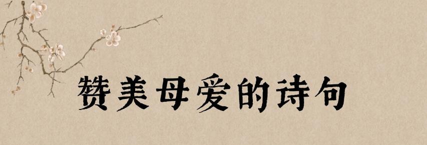 母爱美妙诗句-唯美短句歌颂母爱（温暖）