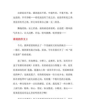 春色悠悠，采荷花之旅（寻找那片荷花海）