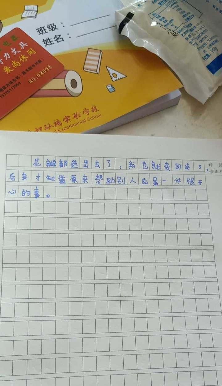 美丽花瓣的魅力——一场爱情故事